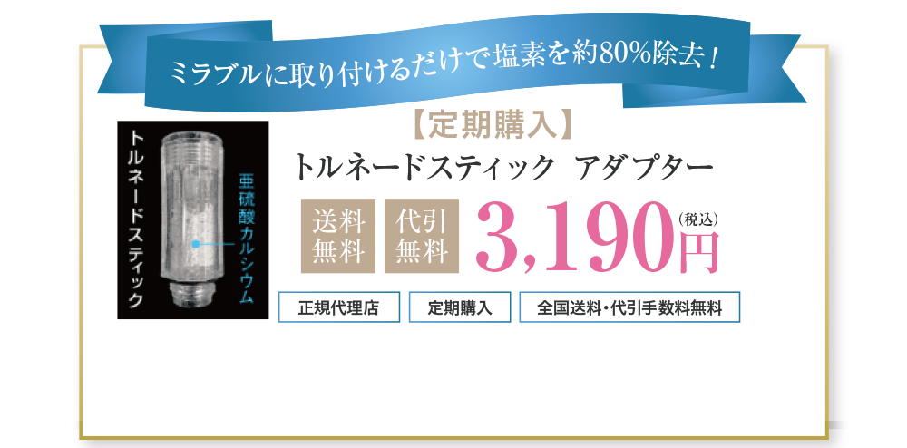 トルネードスティックアダプター送料・代引無料3,190円（税込）